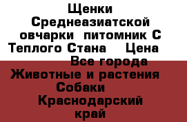 Щенки Среднеазиатской овчарки (питомник С Теплого Стана) › Цена ­ 20 000 - Все города Животные и растения » Собаки   . Краснодарский край